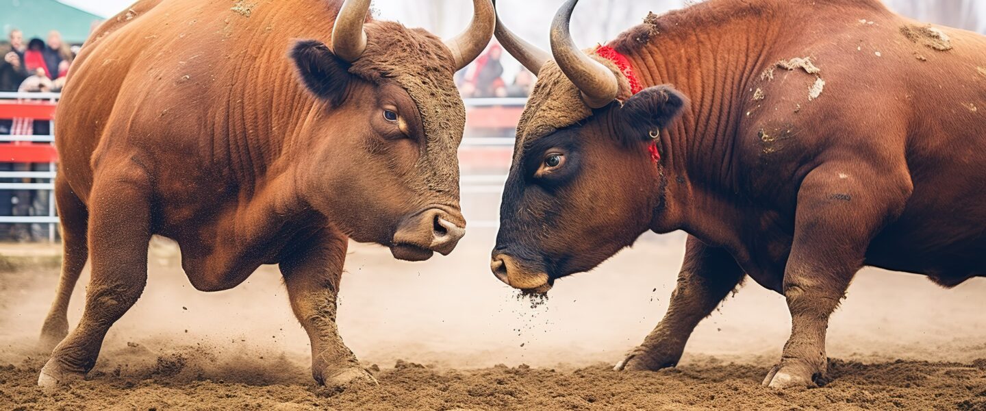 I got hurt by bulls – ruined my birthday month – Life blog